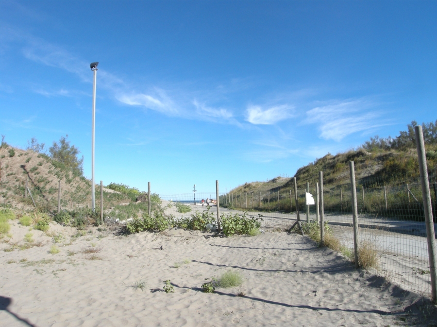 Fontana D/4 - near the beach - Foto Appartamenti In Affitto A Rosolina Mare